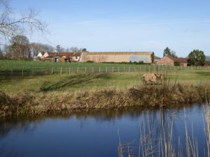 Fordgate Farm from the canal